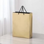 Sac cadeau publicitaire en papier - Samoma Medium | pandacola - thumb - 1