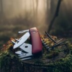 Couteau suisse 12 fonctions|Swiza® - GO05TT | pandacola - thumb