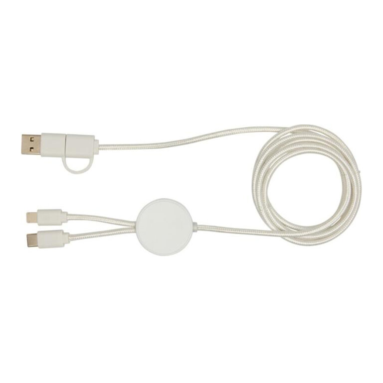 Câble de charge personnalisé 27W - Ontaria Long Abs | pandacola - 2