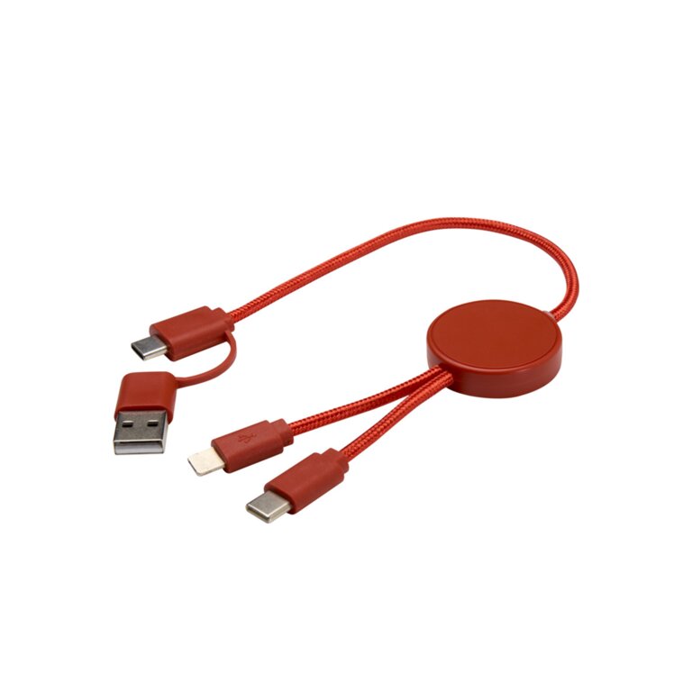 Câble de charge personnalisé 27W - Ontaria Court Abs | pandacola - 4
