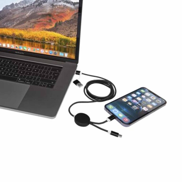 Câble de charge personnalisé 27W - Ontaria Long Alu | pandacola - 2